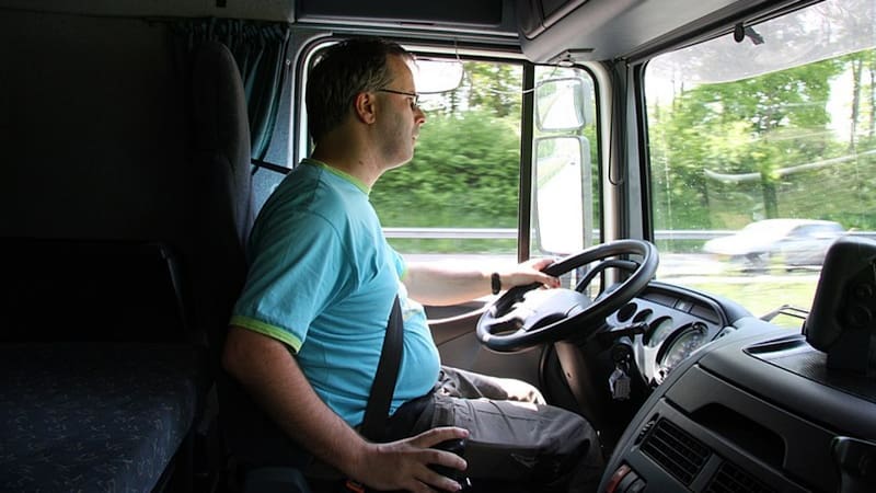 <div class="migrated-promo-image__description"><div class="migrated-promo-image__author">Wikipedia</div></div>