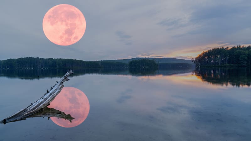 La luna llena de octubre se hará presente durante varios días.