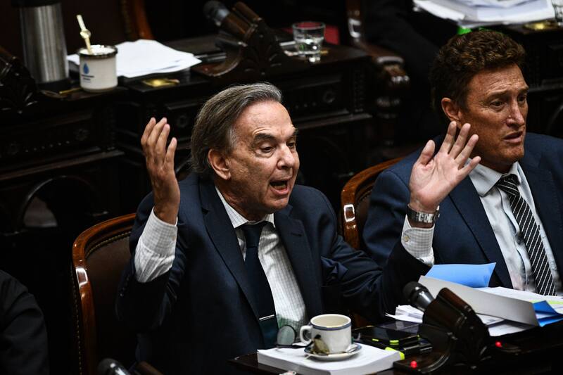 El bloque de diputados de Encuentro Federal, liderado por Miguel Ángel Pichetto, también será clave para definir el futuro de las PASO.