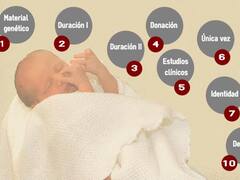 Puntos principales del proyecto de fertilización asistida