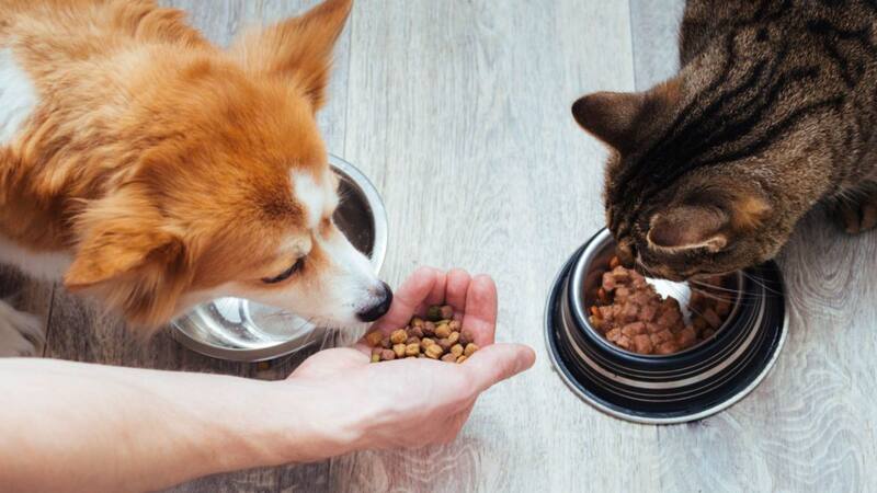 <div class="migrated-promo-image__description"><div class="migrated-promo-image__source">Fuente: pixabay</div></div>