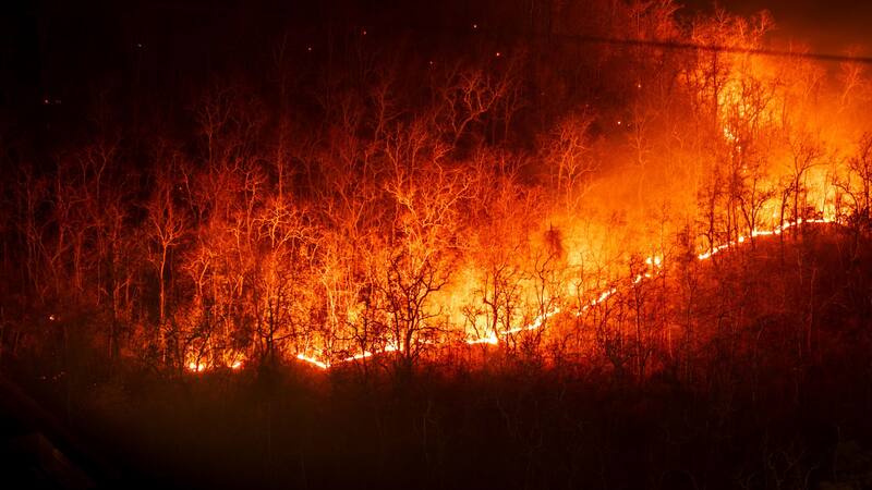 Una serie de piezas milenarias vieron la luz tras un importante incendio.