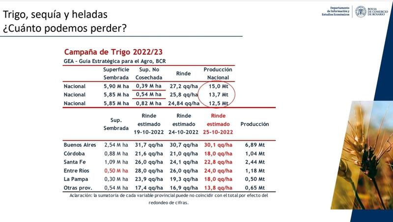 La producción de trigo representará 10 millones de toneladas por debajo de la campaña récord de 2021/2022 que llegó a 23 millones