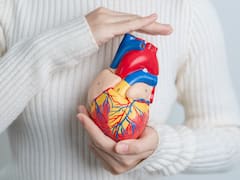 Adiós al colesterol alto: el poderoso alimento que reduce los triglicéridos en menos de 30 días