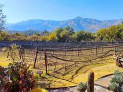 La impresionante "Toscana italiana" escondida entre las sierras cordobesas: cuál es y cómo visitarla