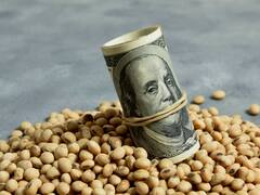 Cepo sojero y marcha atrás: el detrás de escena de un cortocircuito entre Sergio Massa y Miguel Pesce