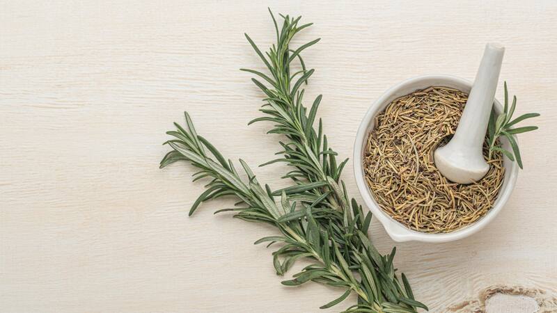 Descubrí cómo esta hierba aromática, reconocida por sus propiedades medicinales, puede potenciar tu salud mental.