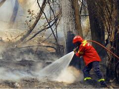 Incendios forestales: Argentina envía a Chile 50 brigadistas y equipo de ataque rápido al fuego