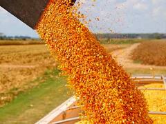 Por el boom del maíz Aceitera General Deheza invierte $ 1000 millones en capacidad de acopio