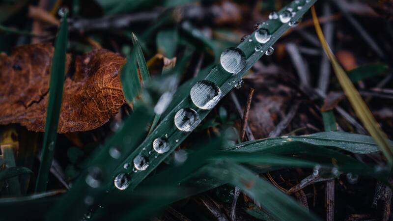 Las condiciones acuosas de la Tierra primitiva, como la lluvia, fueron clave para el surgimiento de la vida, desafiando la idea de que todo comenzó en el océano.