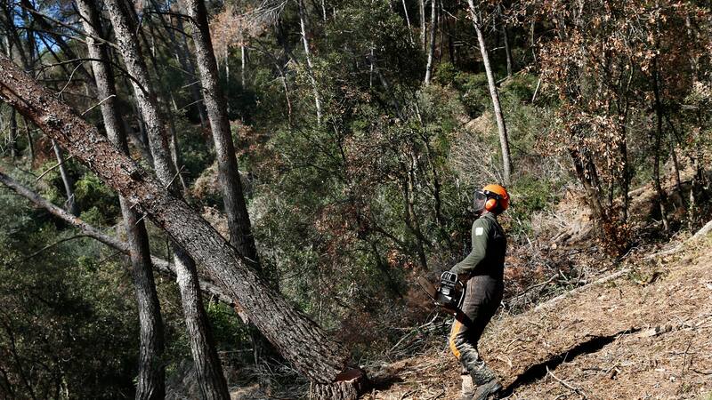 La fuerte sequía que afecta a Cataluña y varias regiones españolas.