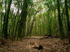 Escapadas: la reserva natural que queda a menos de 2 horas de CABA y que no sabías que existía