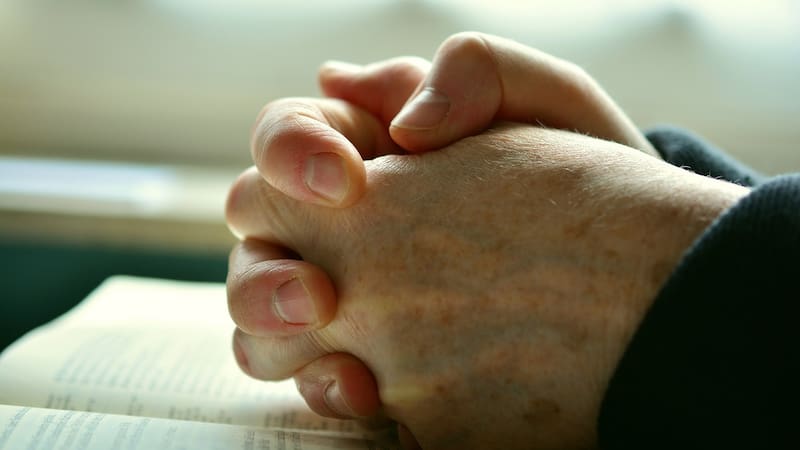 <div class="migrated-promo-image__description"><div class="migrated-promo-image__source">Fuente: Pixabay</div></div>