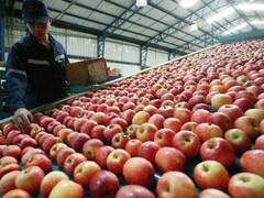 Subieron las exportaciones regionales: cómo le fue a cada sector, qué provincias vendieron más y a qué países