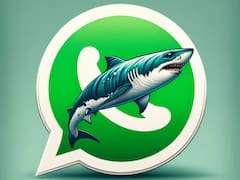 WhatsApp: ¿cómo activar el "modo tiburón" y en qué consiste?