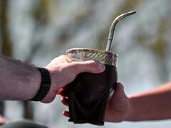 El "oro" de Argentina | Científicos descubren cómo hacer la yerba más resistente y rica en cafeína