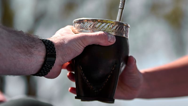 La yerba mate es considera como una de las infusiones más destacadas de la Argentina por su producción masiva y sus origenes.