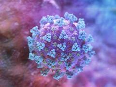 Hallaron una nueva variante de coronavirus con "múltiples mutaciones", ¿dónde circula y por qué preocupa a la OMS?