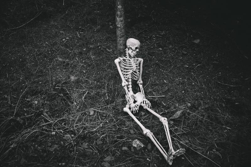 Ilustración de un esqueleto. Fuente: Freepik.