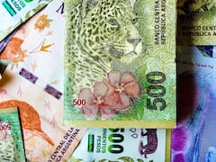 Lanzan un bono navideño de $ 8000 para Tarjeta Social y otro de $ 20.000, ¿cuándo y a quiénes se paga?