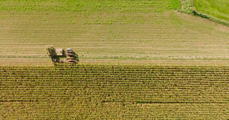 Bill Gates sostiene que mejorar la productividad agrícola es una de las mejores inversiones para reducir la pobreza a escala global (Fuente: Archivo)
