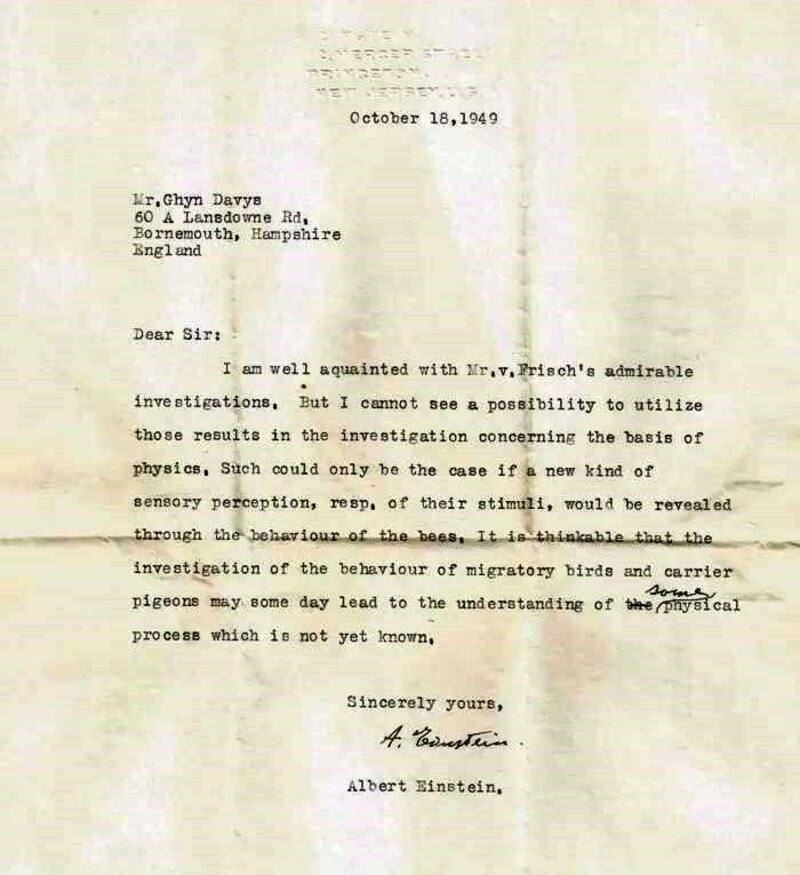 Vendieron una carta de Albert Einstein por 3,9 millones de dólares. Fuente: archivo