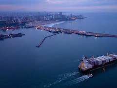 El puerto Mar del Plata quiere dar el gran salto y licita su terminal de contenedores