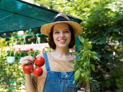 Cultivar tomates en macetas: las 5 variedades que pocos conocen y son ideales para tener en espacios pequeños