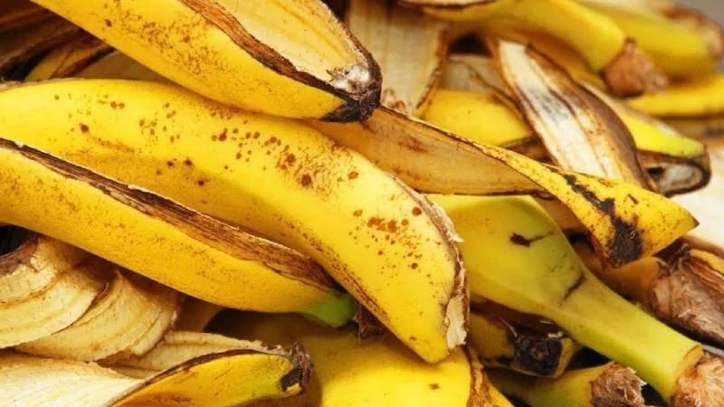 La cáscara de banana puede funcionar como "remedio natural" para ayudar a sanar diversas heridas. Fuente: archivo.