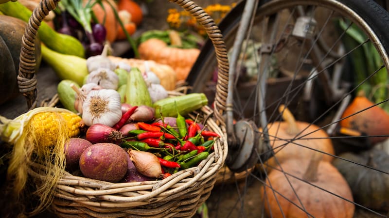 <div class="migrated-promo-image__description"><div class="migrated-promo-image__source">Fuente: Shutterstock</div></div>