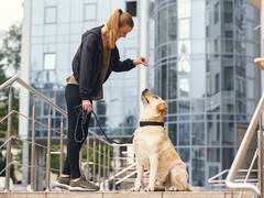Cuánto gana un entrenador de perros en Estados Unidos: conoce cuál es su salario en dólares
