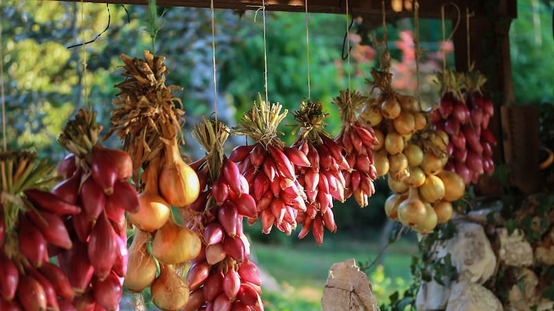 Este ritual es sencillo de realizar, lo que lo convierte en una opción accesible para quienes buscan protección espiritual.