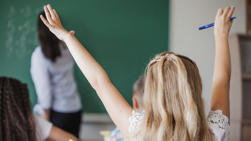 <div class="migrated-promo-image__description"><div class="migrated-promo-image__source">Fuente: Freepik</div></div>