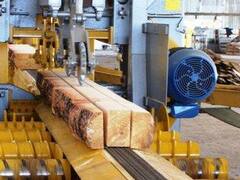 Con u$s 250 millones, levantarán el mayor aserradero de la Argentina