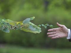 Desarrollo sostenible: las potencias intentan acelerar la agenda hacia un 2030 sustentable