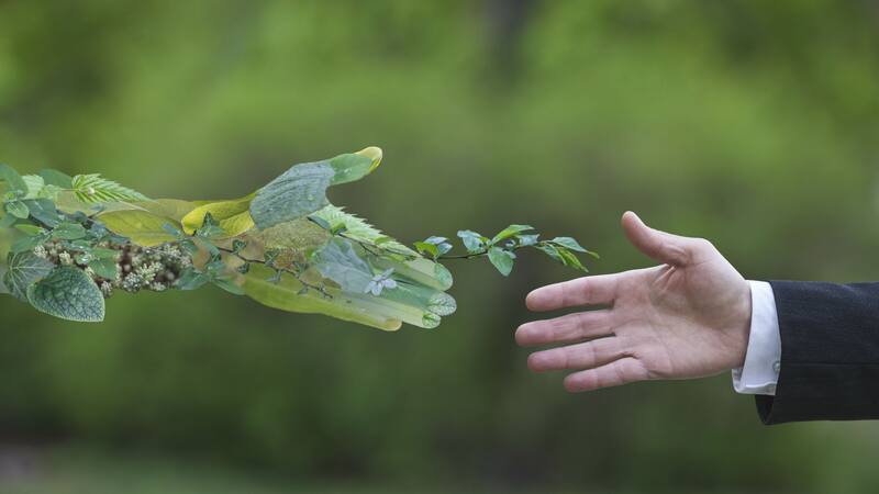 Desarrollo sostenible: las potencias intentan acelerar la agenda hacia un 2030 sustentable.