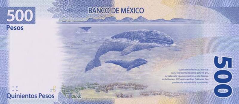 Reverso del billete de 500 pesos. Foto: banxico.org.mx.