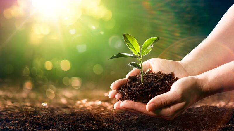 <div class="migrated-promo-image__description"><div class="migrated-promo-image__source">Fuente: Shutterstock</div></div>