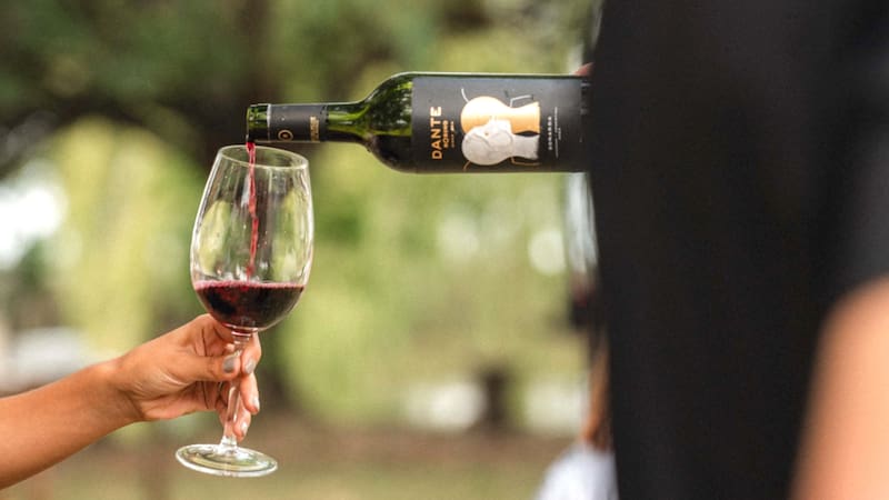 La bodega está situada en Quintana, Perdriel, Mendoza. Fuente: Bodega Dante Robino.