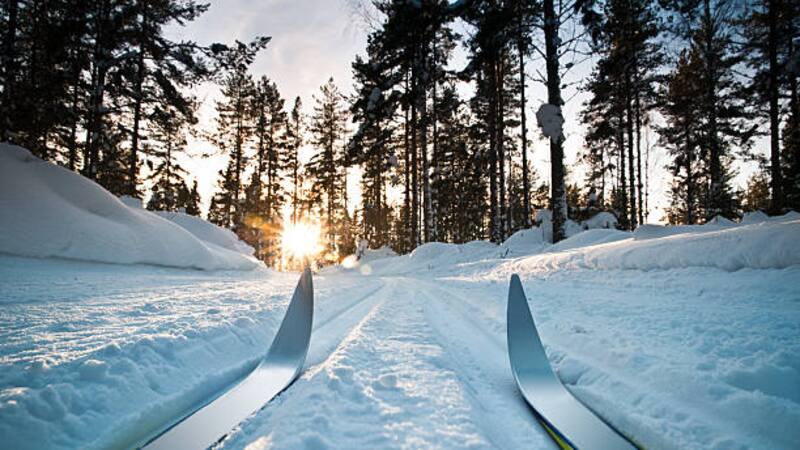 El país escandinavo necesitá trabajadores para cubrir puestos en la nieve.