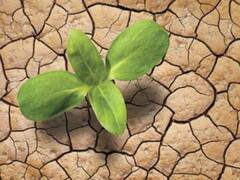 Gobierno da un giro en la política climática internacional