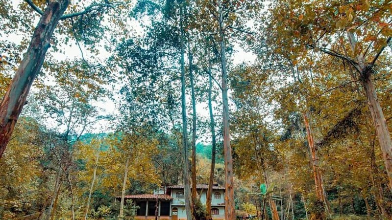 Este pintoresco pueblo seduce a los visitantes con su naturaleza.