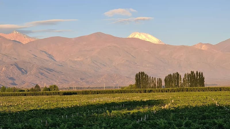 Con aerolíneas como FlyBondi vas a poder pagar pasajes económicos.