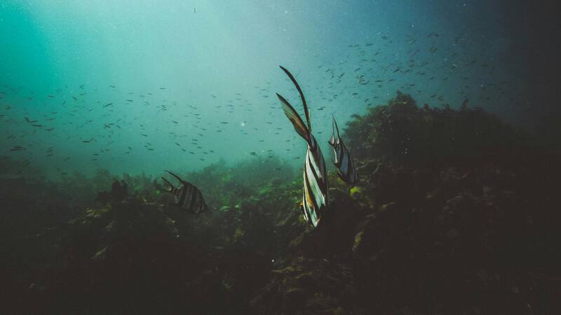 <div class="migrated-promo-image__description"><div class="migrated-promo-image__source">Fuente: Unsplash</div></div>