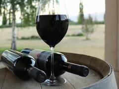 Vinos de alta gama, un negocio cada vez más para jugadores globales