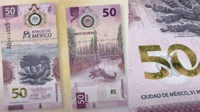 Los billetes de 50 pesos con la imagen del ajolote son parte de una serie conmemorativa lanzada por el Banco de México.