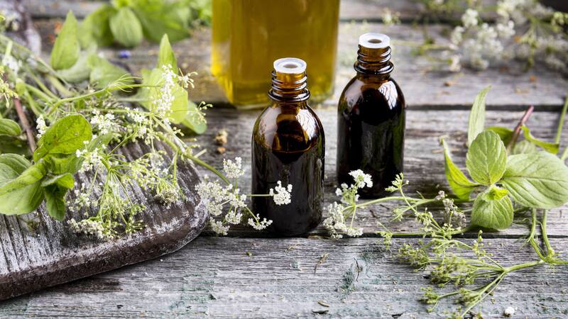 El epimedium es una hierba tradicional china usada para mejorar la salud masculina.