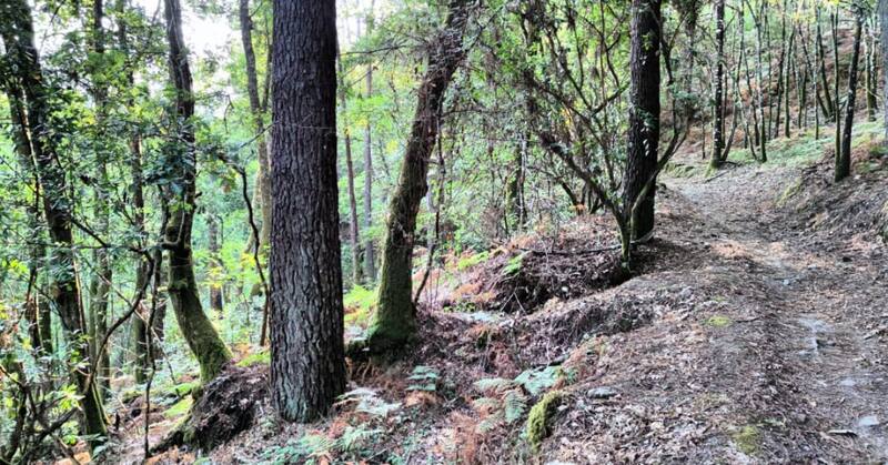 Escapadas: los hermosos senderos de Pazos de Arenteiro son perfectos para la práctica del senderismo. (Foto: Instagram @a.r.pazosdearenteiro)