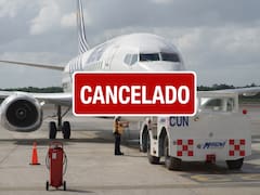 Atención viajeros: una aerolínea confirmó la suspensión de todas sus operaciones y no habrá vuelos durante las próximas dos semanas