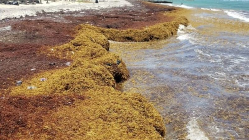 <div class="migrated-promo-image__description"><div class="migrated-promo-image__source">Fuente: Archivo </div></div>